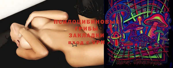 ПСИЛОЦИБИНОВЫЕ ГРИБЫ Аркадак