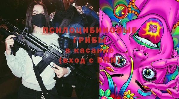 ПСИЛОЦИБИНОВЫЕ ГРИБЫ Аркадак