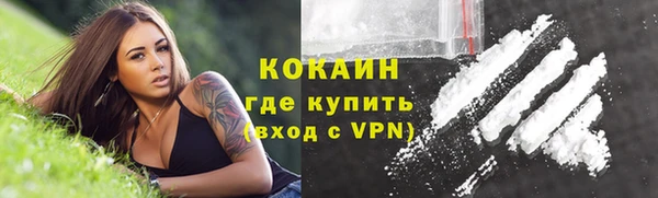 спиды Арсеньев