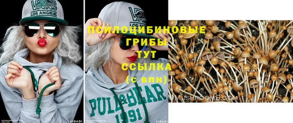 ПСИЛОЦИБИНОВЫЕ ГРИБЫ Аркадак