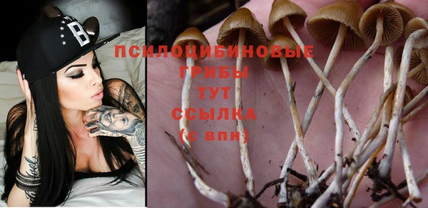 спиды Арсеньев