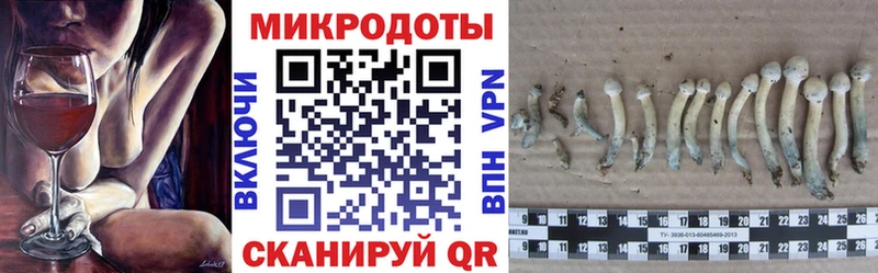 Псилоцибиновые грибы MAGIC MUSHROOMS  Городище 