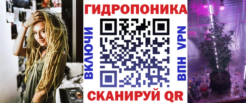 Бошки марихуана семена  наркотики  Городище 